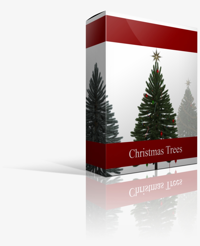 Christmas Tree, transparent png