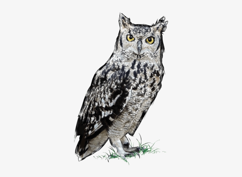 Duc Africà, transparent png