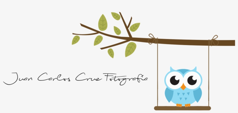 Juan Carlos Cruz Fotografía - Custom Tote Bag - Cute Blue Cartoon Baby Owl Tote Bags, transparent png
