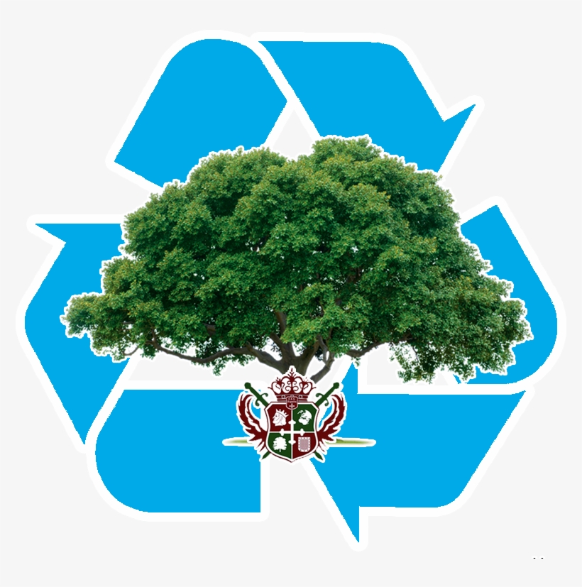 View Larger Image - Trees Our Green Friends, transparent png