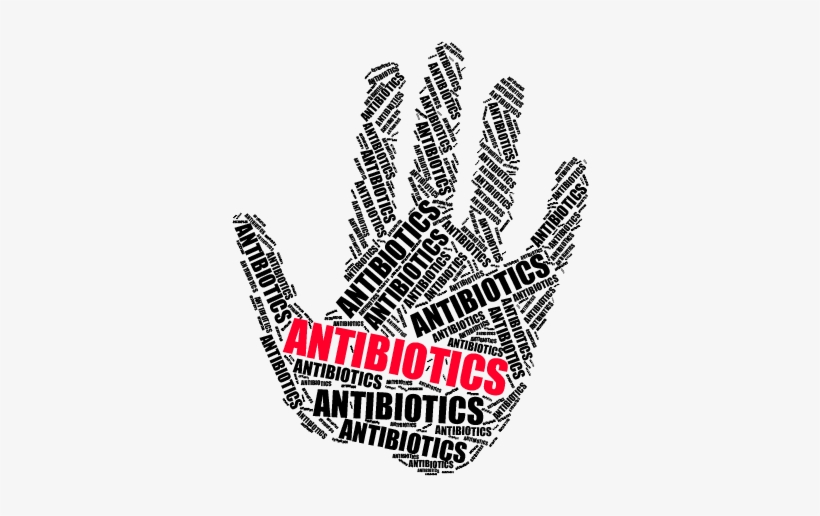 Antibiotics In Animal Feed - Antibiotics, transparent png