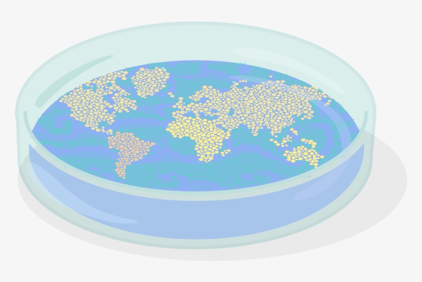 What If Antibiotics Were To Stop Working - King's Fund, transparent png