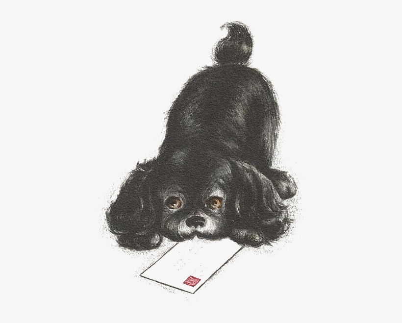 Pet, transparent png