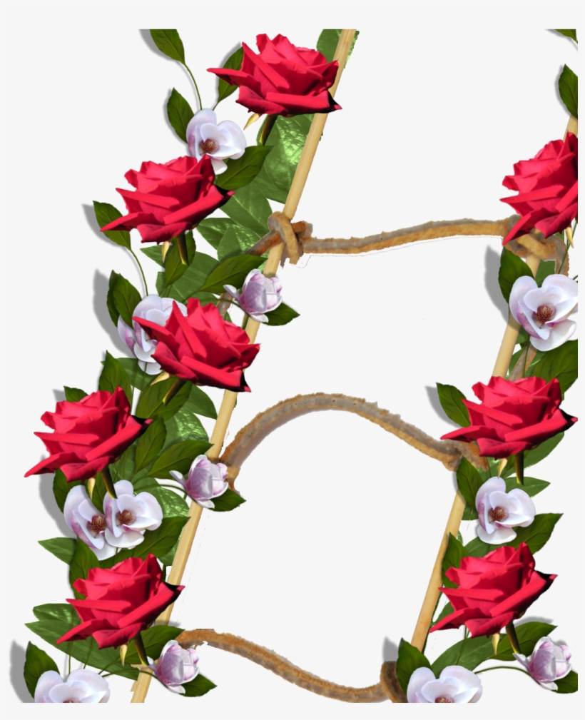 Marcos De Flores Png Imagui Picture Frame 1200x1200 Png Download Pngkit