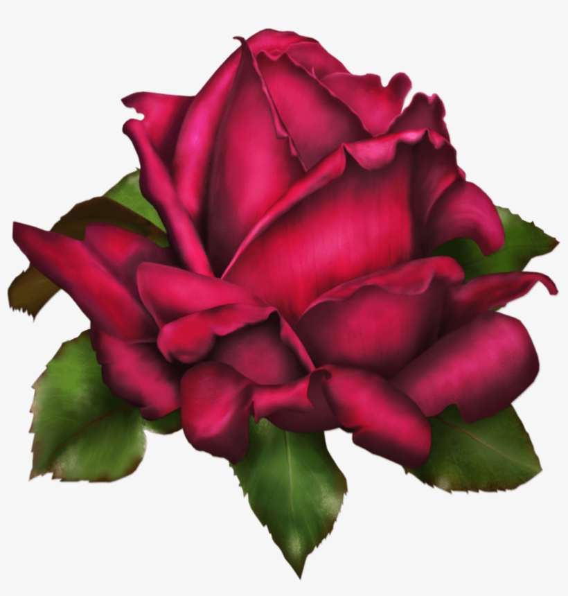 Purple Roses Png, transparent png