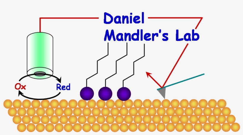 Synthesis, Coating, And Drug-release Of Hydroxyapatite - The Institute Of Chemistry, transparent png