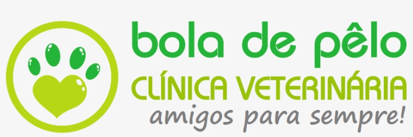 Page Title - Hair Ball - Veterinary Clinic, transparent png