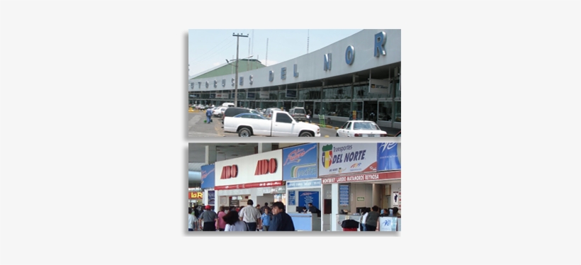 Desde La Central Del Norte Podrás Utilizar El Servicio - Autobus Estrella Blanca Central Del Norte, transparent png