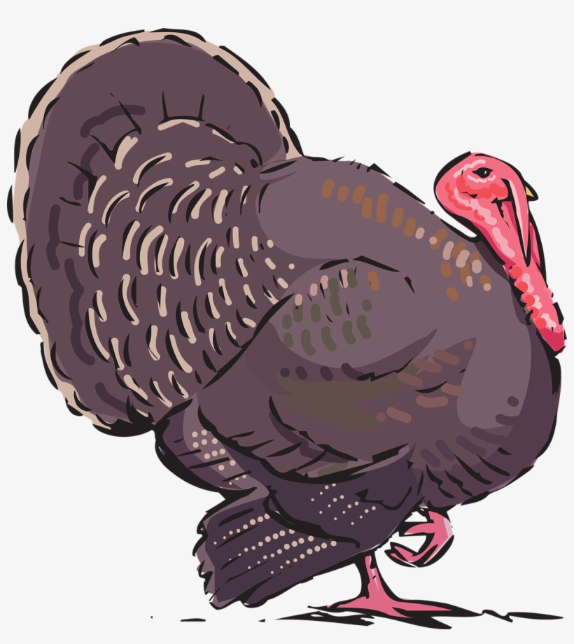 Happy Thanksgiving - Author, transparent png
