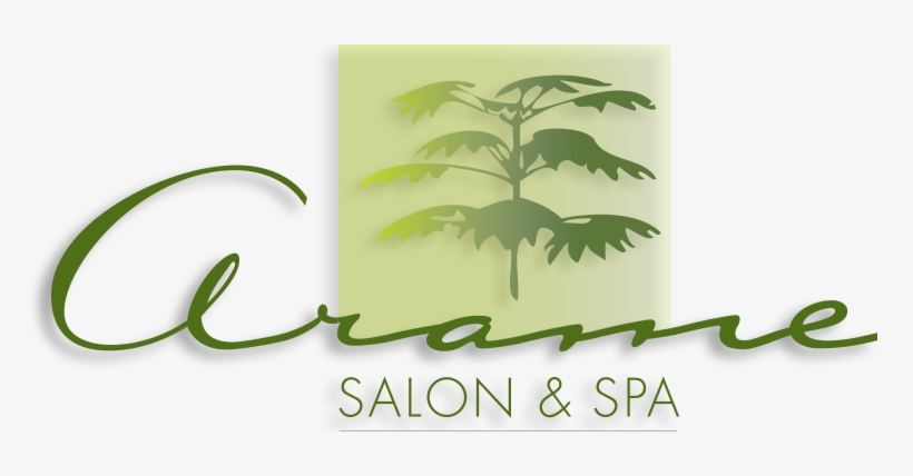 Arame Salon And Spa, transparent png
