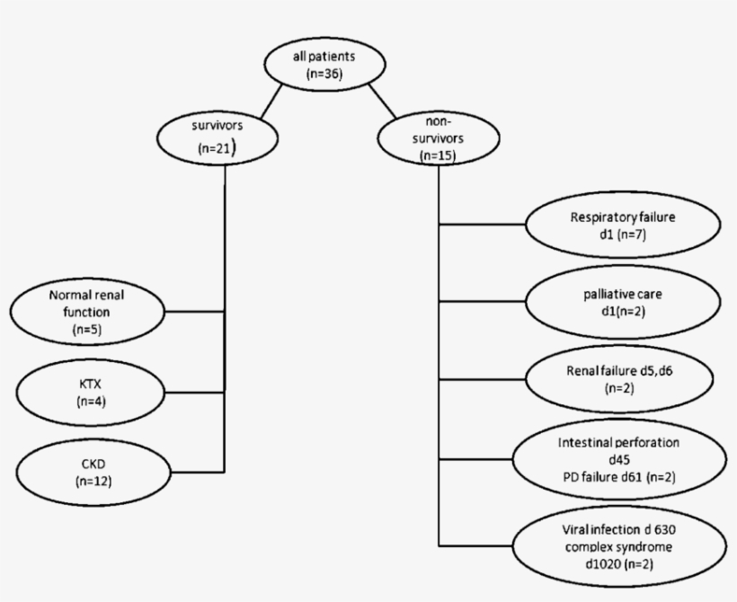 Schematic Representation Of Survival In Patients With - Diagram, transparent png