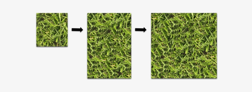 The Idea Of The Algorithm Is To Sample Square Regions - Lawn, transparent png