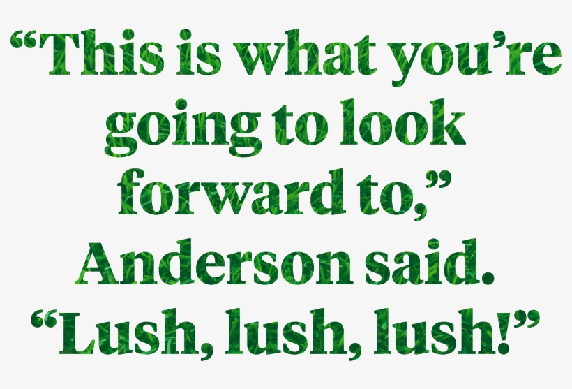 Beverly Hills' Most Verdant Estates Have Been Paraded - Bank Holiday, transparent png