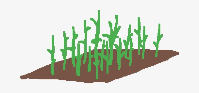 Sugarcane Patch - Grass, transparent png