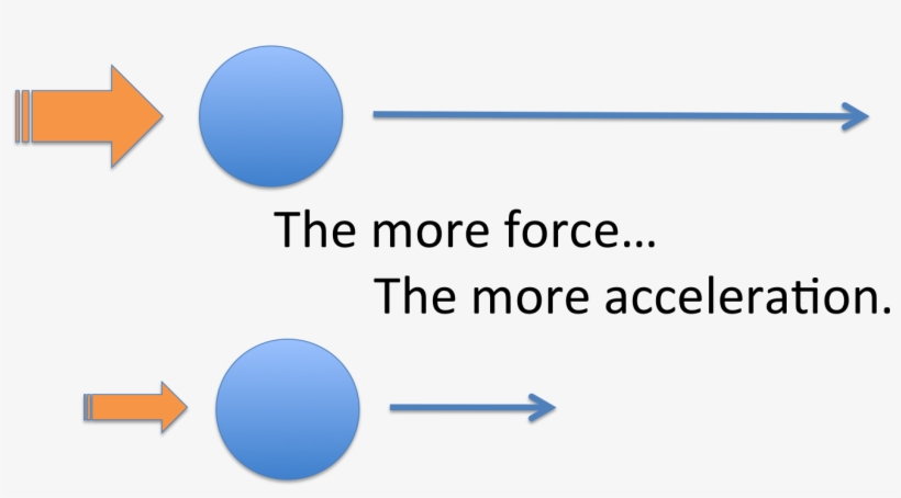 This Shows That The Action Of Going Up, Forces The - Newton's Second Law Of Motion In Swimming, transparent png