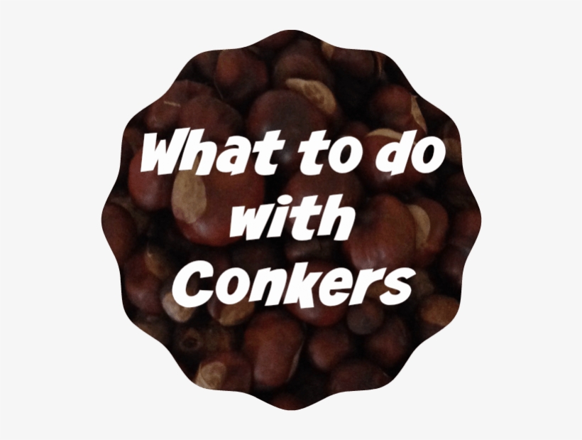 What To Do With Conkers - Chocolate, transparent png