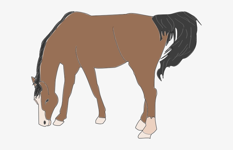 Horse Vector - Horse Eating Clipart, transparent png