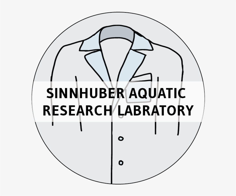 Zebrafish Biomedical Research - Clip Art - 624x637 PNG Download - PNGkit