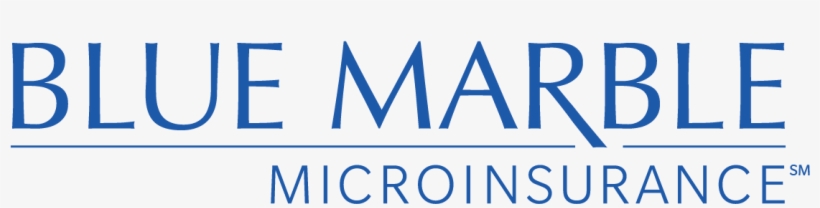 Welcomed At Point Of Scale Of Venture - Blue Marble Insurance, transparent png