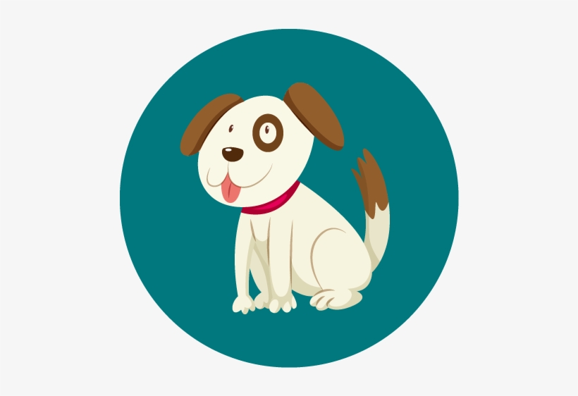 Walter Is A Border Collie Born In - Dog, transparent png