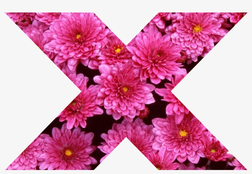 X X Cross Flower Pink Girly Pink Nature Collor Tumblr - Body-soul-n-spirit Dining Pink Blossom Love Coaster, transparent png