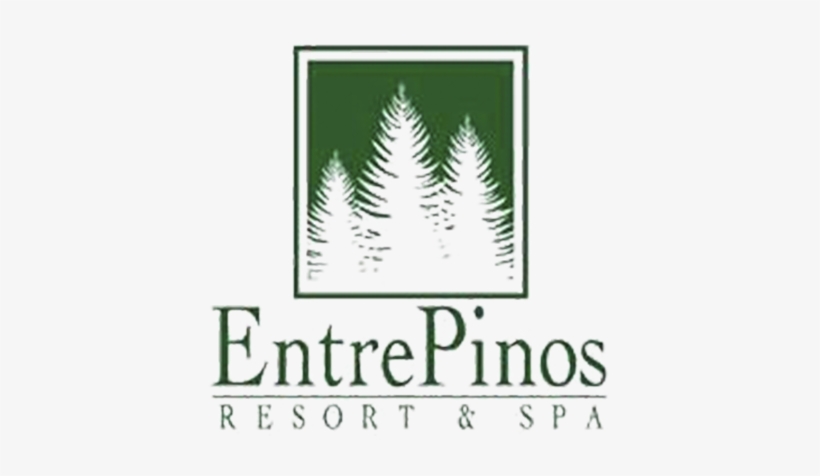 Hotel Entre Pinos - Christmas Tree, transparent png