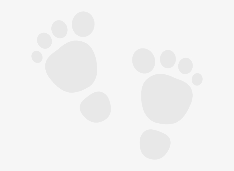 Baby Foot Grey - Downunder Thunder Pants Bib, transparent png