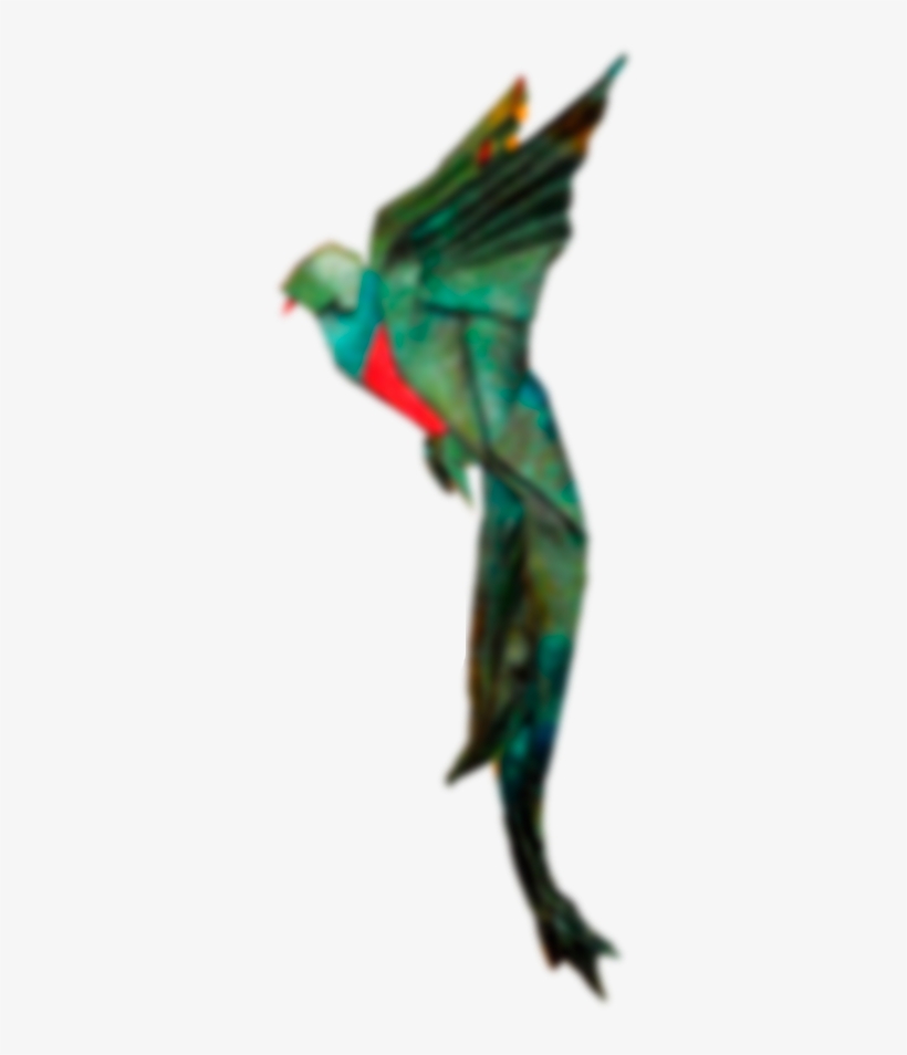 Home - Quetzal En Manualidades, transparent png