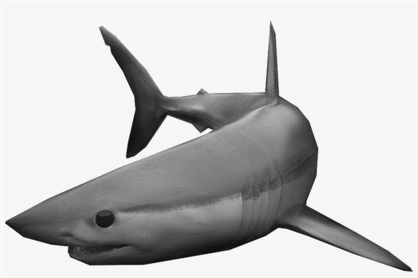 See Why The Shortfin Mako Captures Our Essence - Killer Whale, transparent png