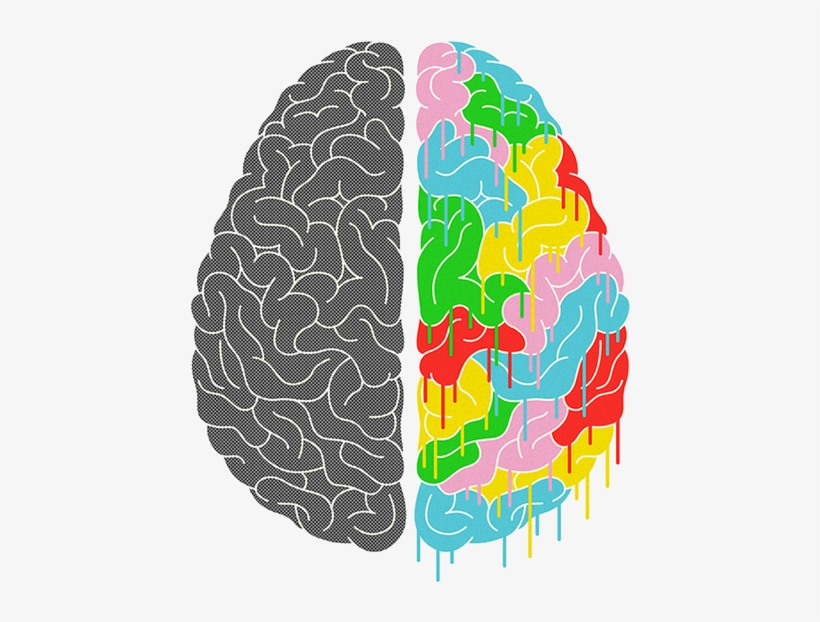 Math Transparent Picture Free Download Clip Art Free - Brain Halves, transparent png