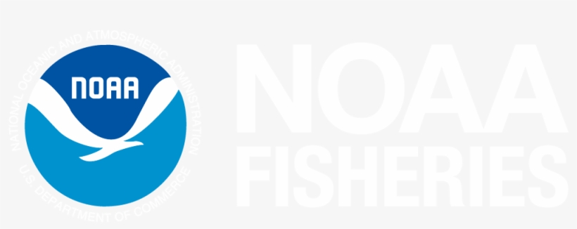 Noaa Logo - Happy Fathers Day Pizza, transparent png