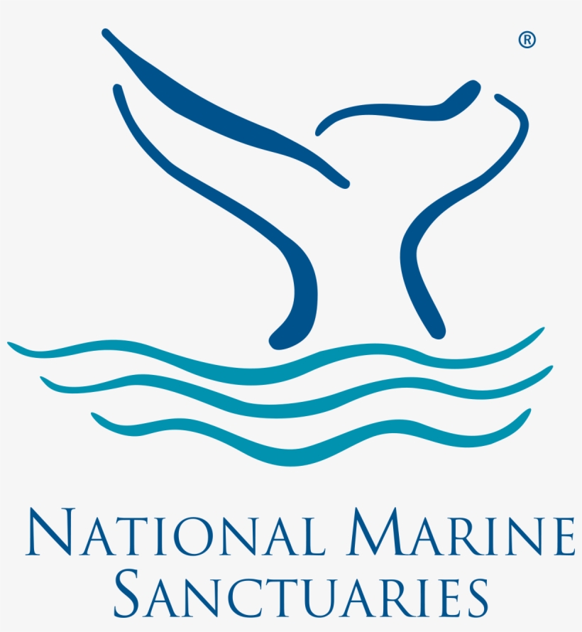 Noaa Office Of National Marine Sanctuaries - Monterey Bay National Marine Sanctuary Logo, transparent png