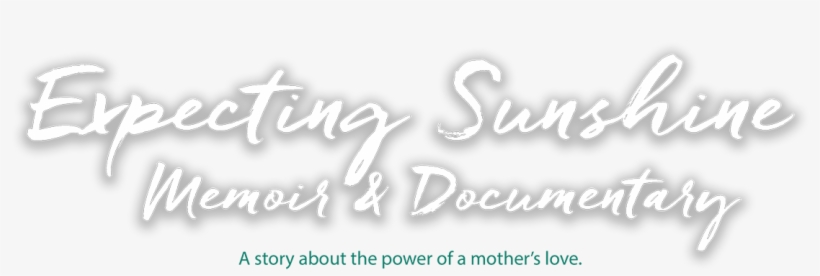 Indiegogo Crowdfunding Update - Alexis Marie Chute, transparent png