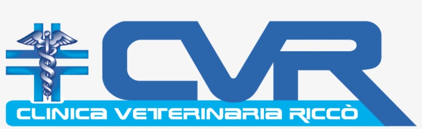 Logo Cvr 1000 - Carl Verheyen Take One Step, transparent png