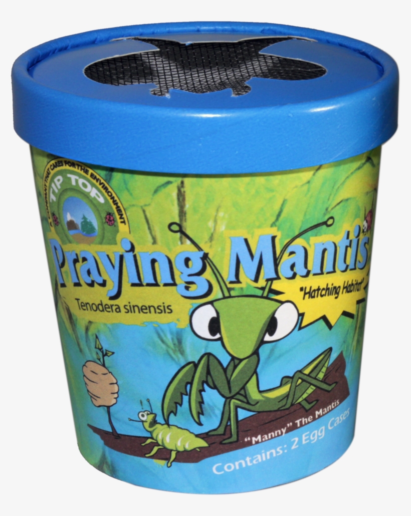 Praying Mantis - Beneficial Insects, transparent png