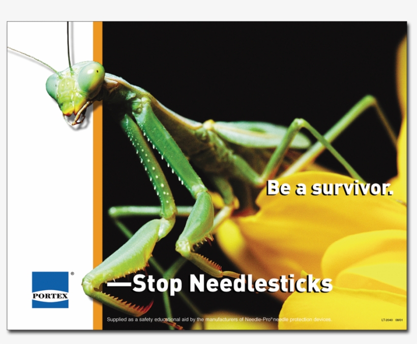 Portex Praying Mantis Poster - Dead Or Alive 3, transparent png