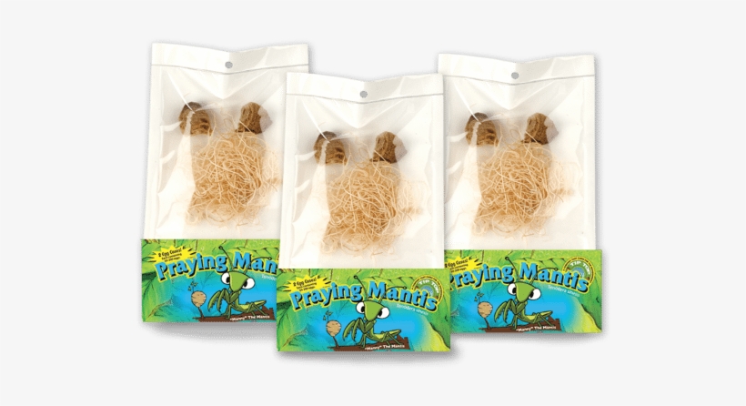 Live Praying Mantis Egg Cases Pouch - Beneficial Insects, transparent png