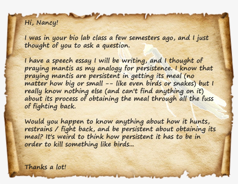 What I Imagine E-mails To Look Like - Knights And Castles (dk Reads Starting To Read Alone), transparent png