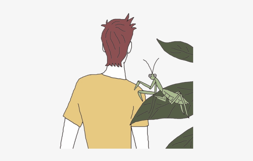 Mantis - Dream Dictionary, transparent png