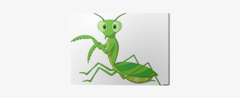 Grasshopper Cartoon Style, transparent png