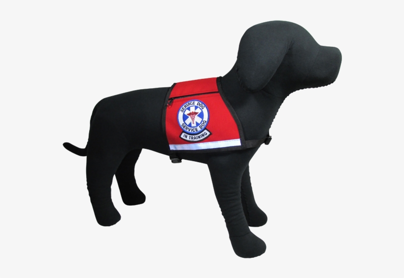 Service Dog, In Training Reflective Vest - Companion Dog, transparent png