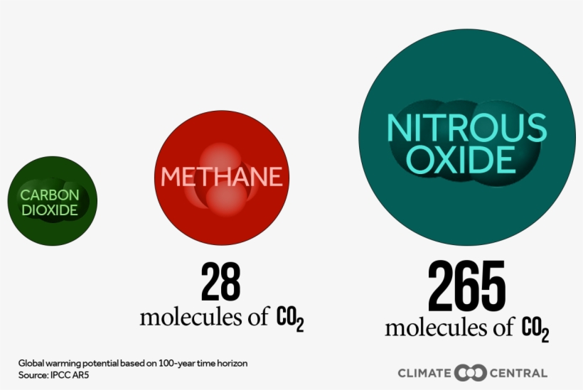 [back - Circle, transparent png