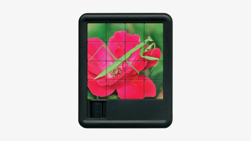 Praying Mantis Sliding Tile Puzzle - Floral Design, transparent png