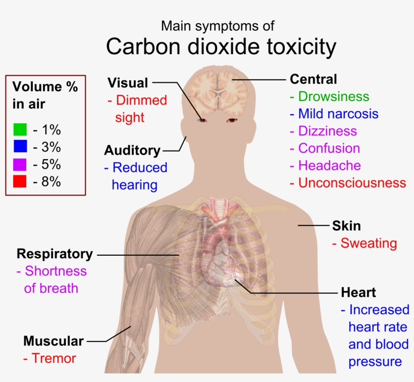 Main Symptoms Of Carbon Dioxide Toxicity - Carbon Dioxide Poisoning, transparent png