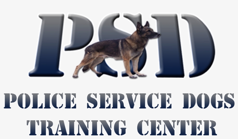 Dog, transparent png