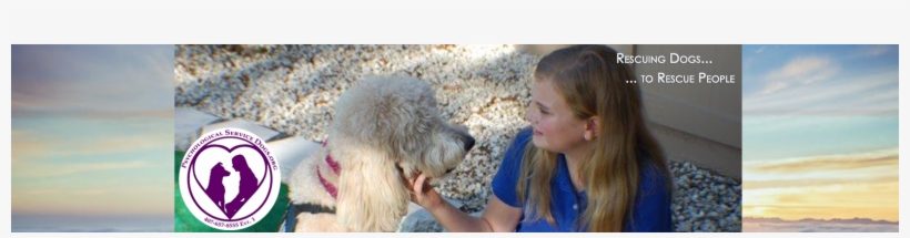 Psychological Service Dogs - Psychiatric Service Dog, transparent png