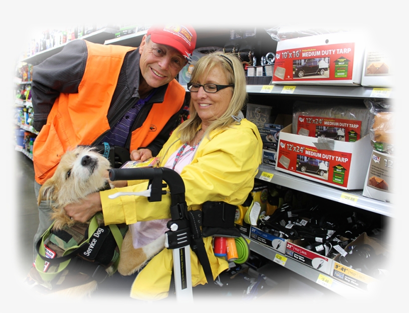 Service Dog Training - Service Dog, transparent png