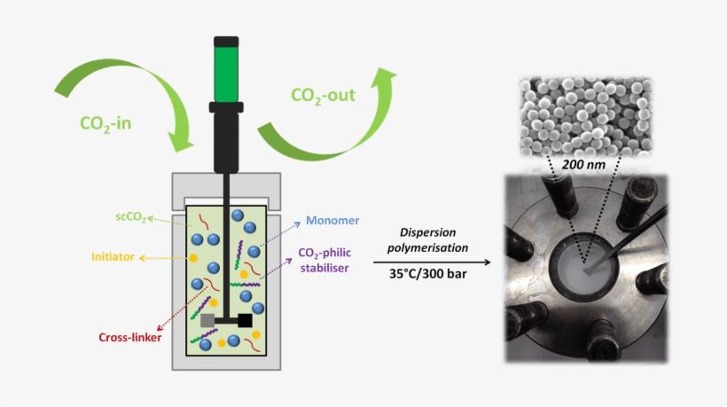 Synthesis Of Poly Networks Nanoparticles In Supercritical - Supercritical Carbon Dioxide, transparent png