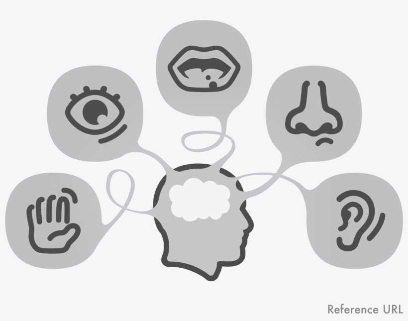 Sight, Hearing, Taste, Smell, And Touch - Day Inside My Mind: Poetry, transparent png