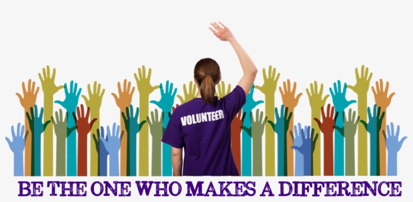 Understanding Diversity By Claire M. Renzetti, transparent png